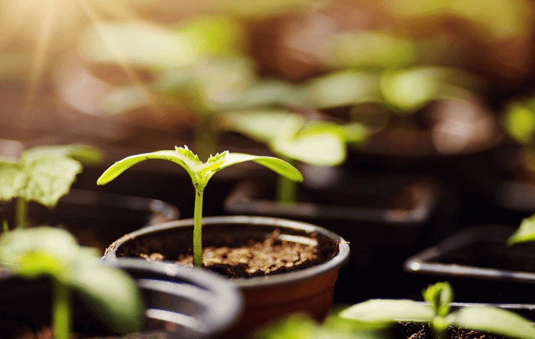 Blog-groen-tuin-moestuin-2023-februari-slider-01