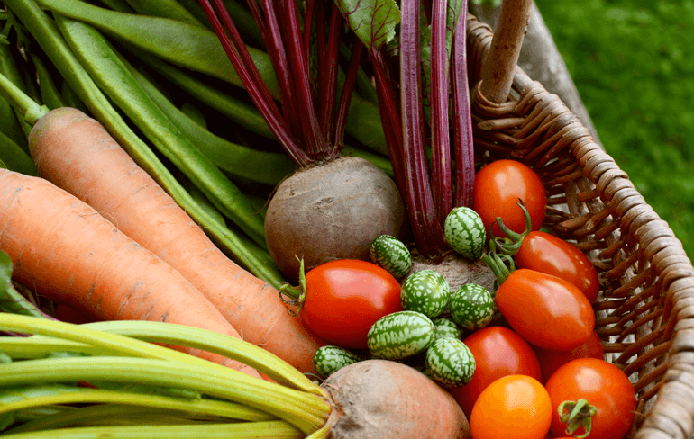 Blog-groen-tuin-moestuin-2023-februari-slider-03