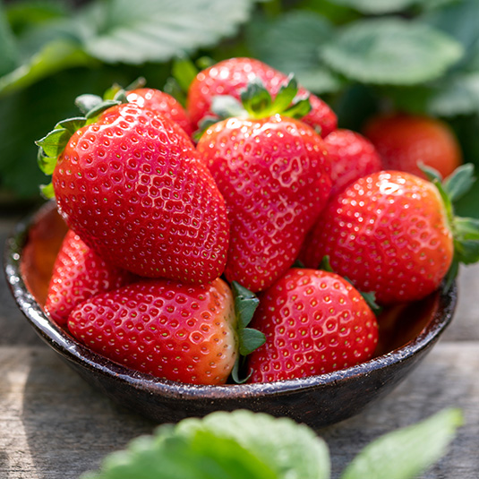 Blog-toepassing-aardbeien-2023-mei-detail-02