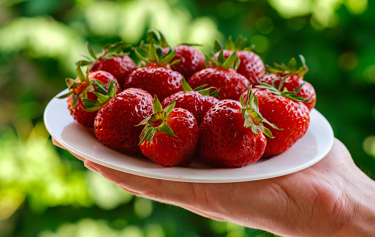 Blog-toepassing-aardbeien-2023-mei-slider-1