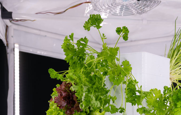 Blog-verticale-tuin-april-slider-02
