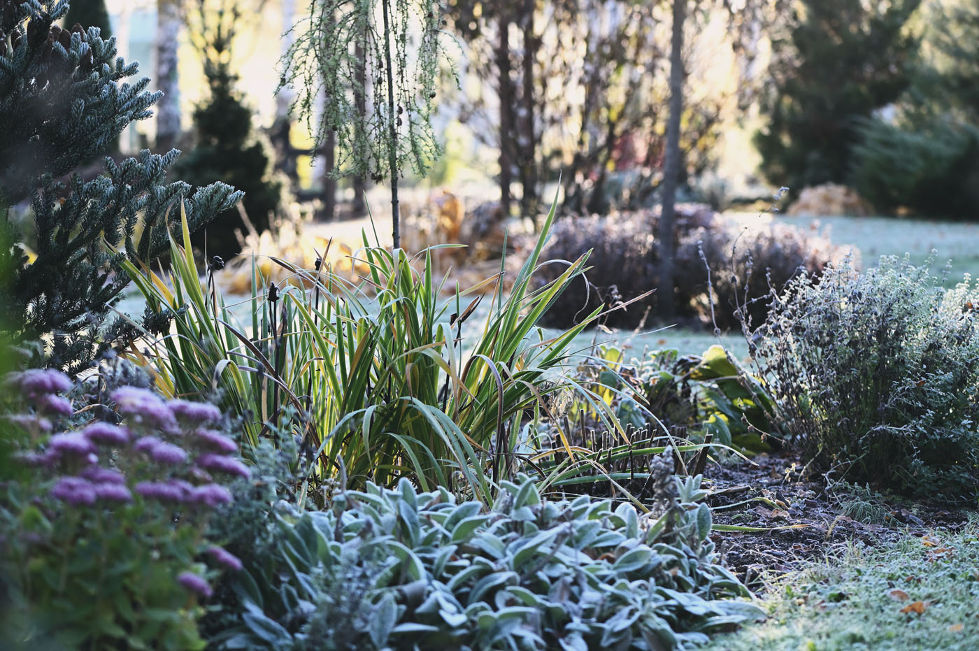 blog-wintertuin-slider2