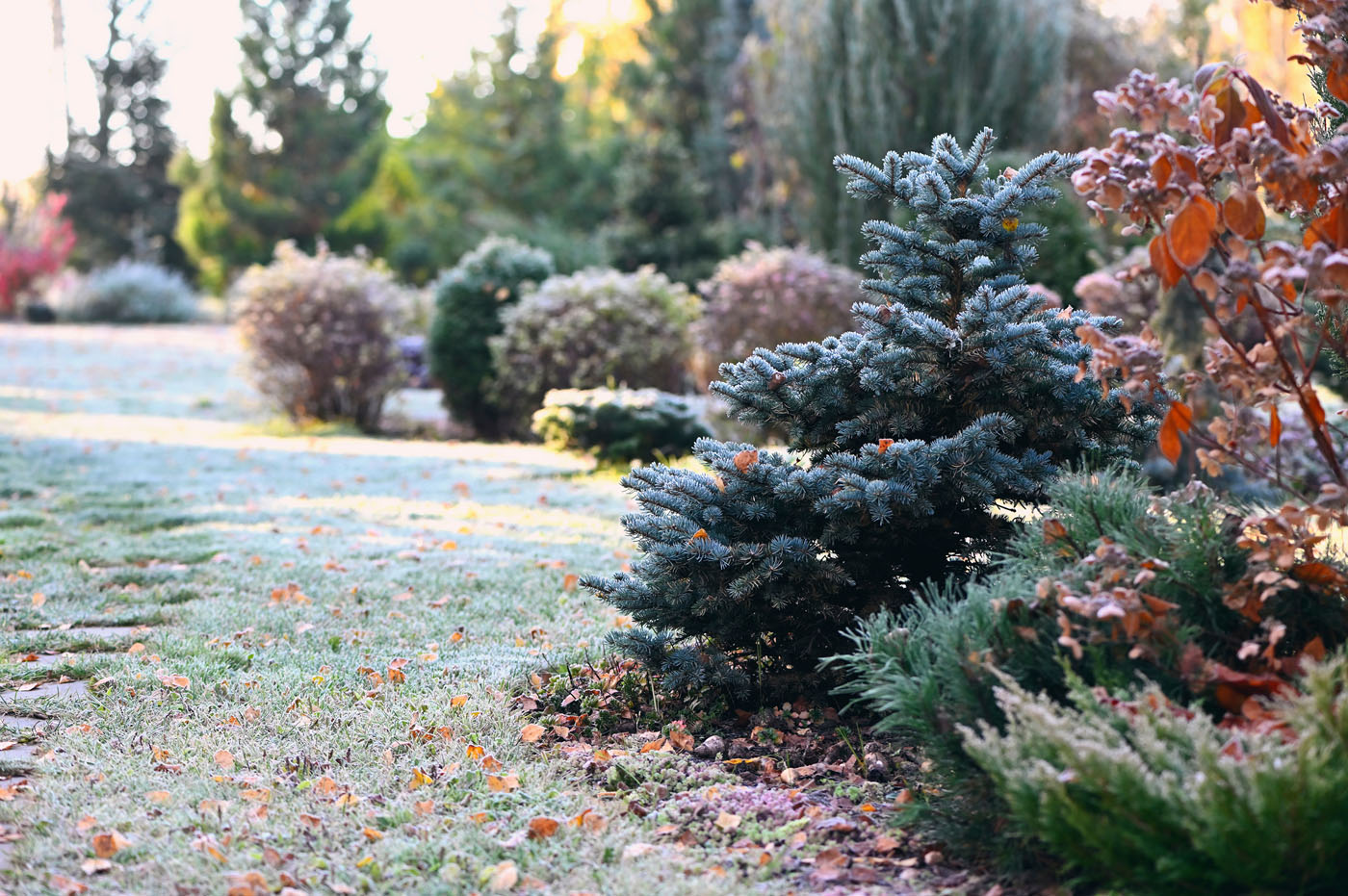blog-wintertuin-slider5